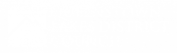 QLDC logo REV WHITE